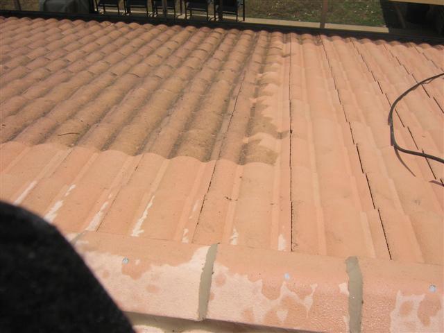 roof cleaning